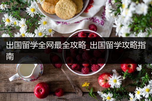 出国留学全网最全攻略_出国留学攻略指南