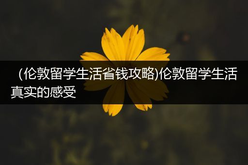 （伦敦留学生活省钱攻略)伦敦留学生活真实的感受