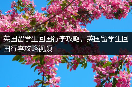 英国留学生回国行李攻略，英国留学生回国行李攻略视频