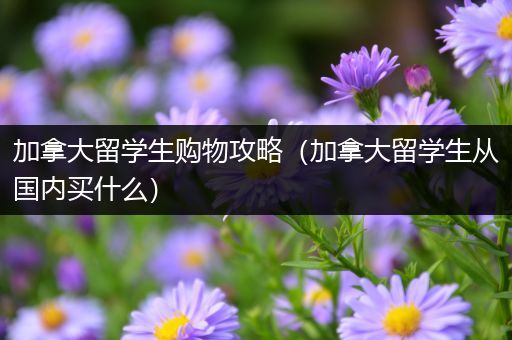 加拿大留学生购物攻略（加拿大留学生从国内买什么）