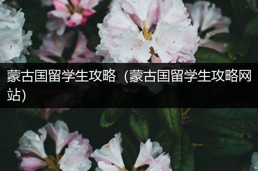 蒙古国留学生攻略（蒙古国留学生攻略网站）