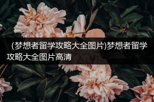 （梦想者留学攻略大全图片)梦想者留学攻略大全图片高清