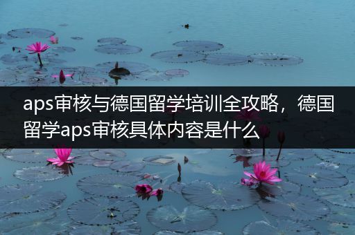 aps审核与德国留学培训全攻略，德国留学aps审核具体内容是什么