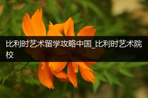 比利时艺术留学攻略中国_比利时艺术院校