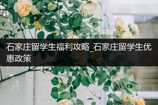 石家庄留学生福利攻略_石家庄留学生优惠政策