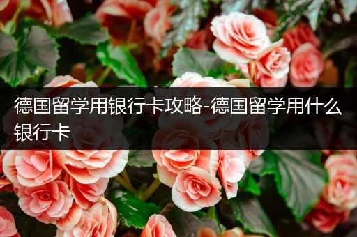 德国留学用银行卡攻略-德国留学用什么银行卡