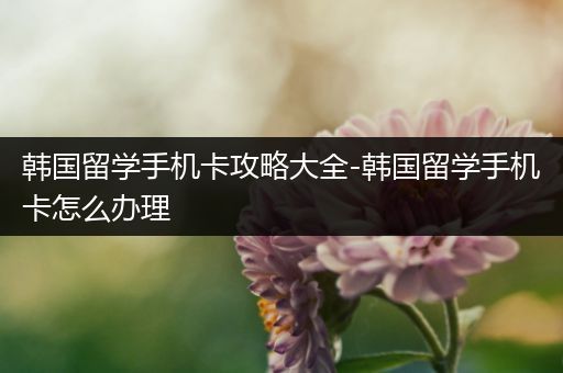 韩国留学手机卡攻略大全-韩国留学手机卡怎么办理