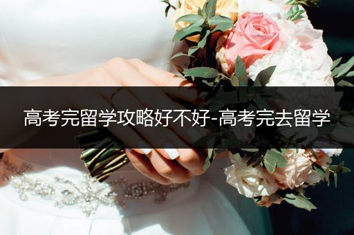高考完留学攻略好不好-高考完去留学