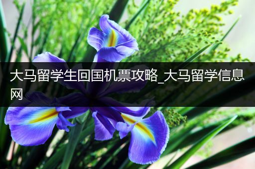 大马留学生回国机票攻略_大马留学信息网