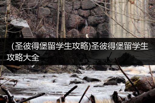 （圣彼得堡留学生攻略)圣彼得堡留学生攻略大全