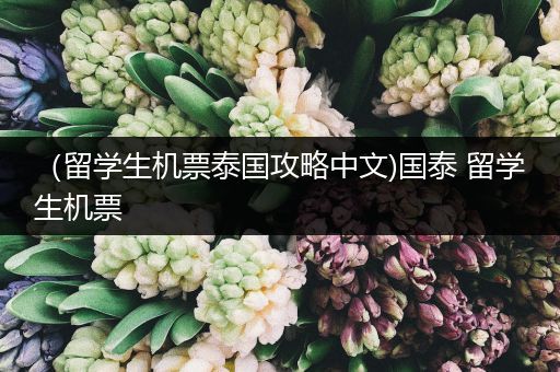 （留学生机票泰国攻略中文)国泰 留学生机票