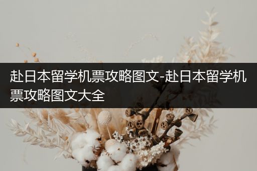 赴日本留学机票攻略图文-赴日本留学机票攻略图文大全