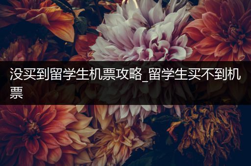 没买到留学生机票攻略_留学生买不到机票