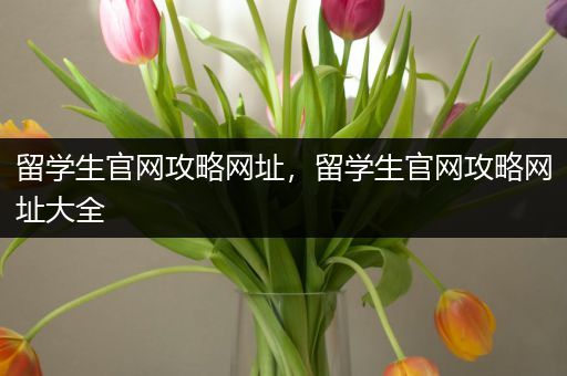 留学生官网攻略网址，留学生官网攻略网址大全