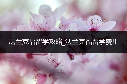 法兰克福留学攻略_法兰克福留学费用