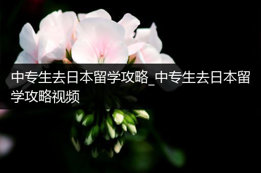 中专生去日本留学攻略_中专生去日本留学攻略视频