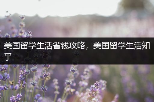 美国留学生活省钱攻略，美国留学生活知乎