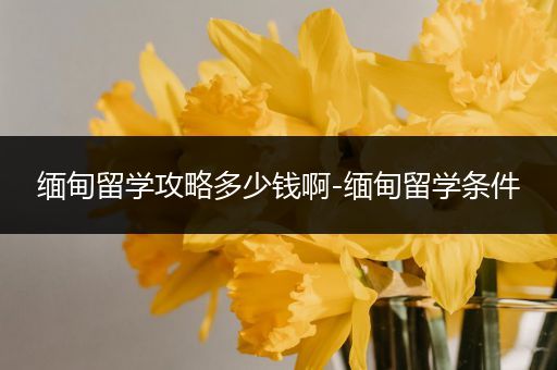 缅甸留学攻略多少钱啊-缅甸留学条件