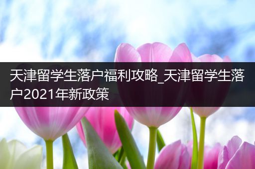 天津留学生落户福利攻略_天津留学生落户2021年新政策