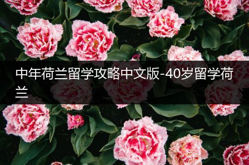 中年荷兰留学攻略中文版-40岁留学荷兰