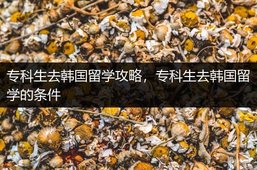专科生去韩国留学攻略，专科生去韩国留学的条件