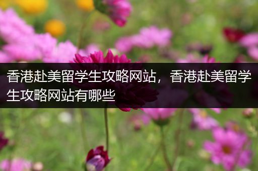 香港赴美留学生攻略网站，香港赴美留学生攻略网站有哪些