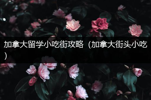加拿大留学小吃街攻略（加拿大街头小吃）