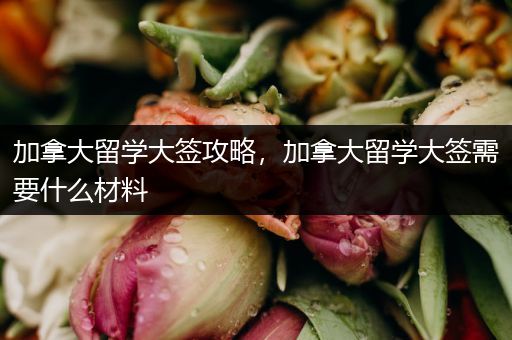 加拿大留学大签攻略，加拿大留学大签需要什么材料