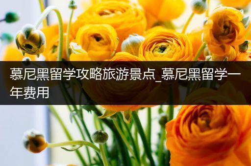 慕尼黑留学攻略旅游景点_慕尼黑留学一年费用