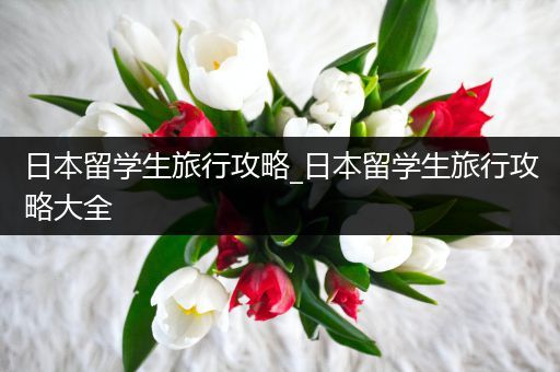 日本留学生旅行攻略_日本留学生旅行攻略大全