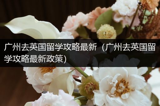 广州去英国留学攻略最新（广州去英国留学攻略最新政策）