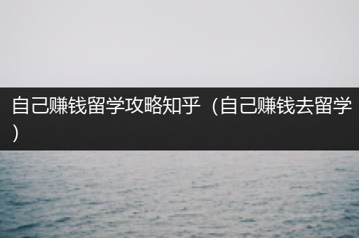 自己赚钱留学攻略知乎（自己赚钱去留学）