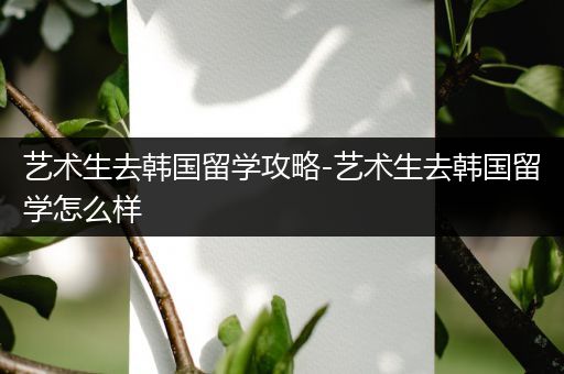 艺术生去韩国留学攻略-艺术生去韩国留学怎么样