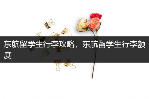 东航留学生行李攻略，东航留学生行李额度