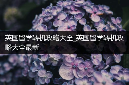 英国留学转机攻略大全_英国留学转机攻略大全最新