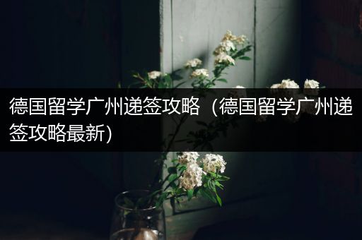 德国留学广州递签攻略（德国留学广州递签攻略最新）