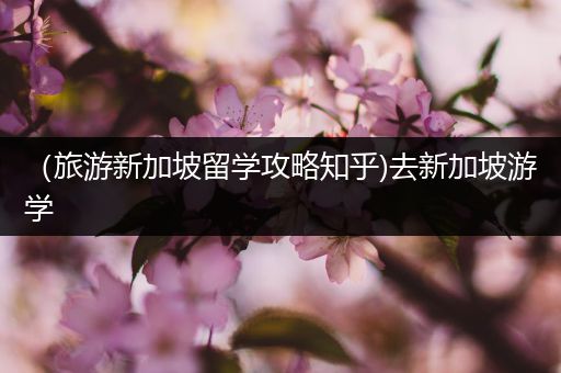 （旅游新加坡留学攻略知乎)去新加坡游学