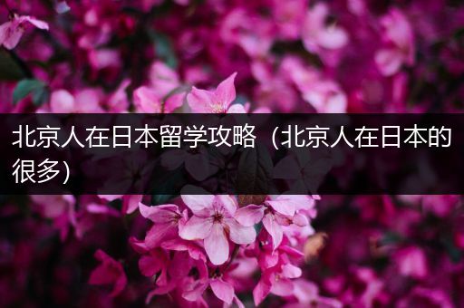 北京人在日本留学攻略（北京人在日本的很多）