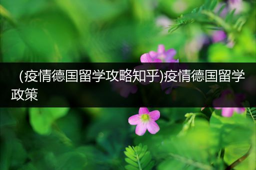 （疫情德国留学攻略知乎)疫情德国留学政策