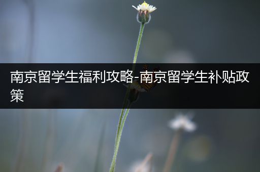 南京留学生福利攻略-南京留学生补贴政策