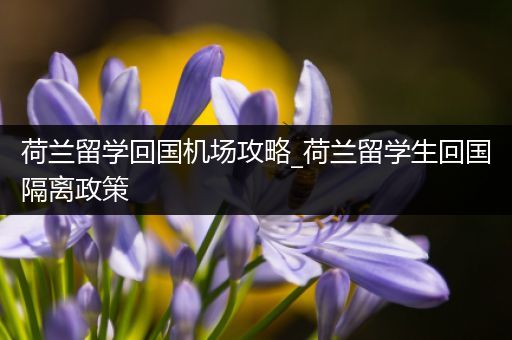 荷兰留学回国机场攻略_荷兰留学生回国隔离政策