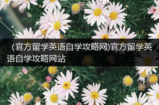 （官方留学英语自学攻略网)官方留学英语自学攻略网站