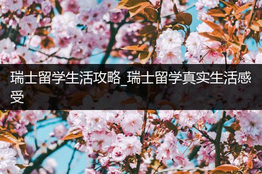 瑞士留学生活攻略_瑞士留学真实生活感受