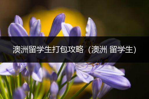 澳洲留学生打包攻略（澳洲 留学生）