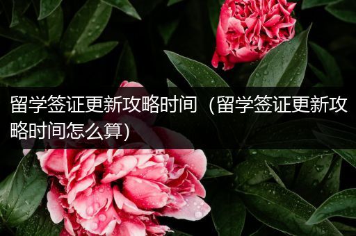 留学签证更新攻略时间（留学签证更新攻略时间怎么算）