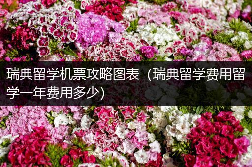 瑞典留学机票攻略图表（瑞典留学费用留学一年费用多少）