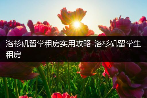 洛杉矶留学租房实用攻略-洛杉矶留学生租房