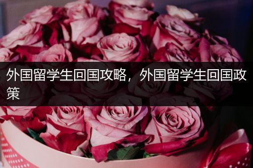 外国留学生回国攻略，外国留学生回国政策