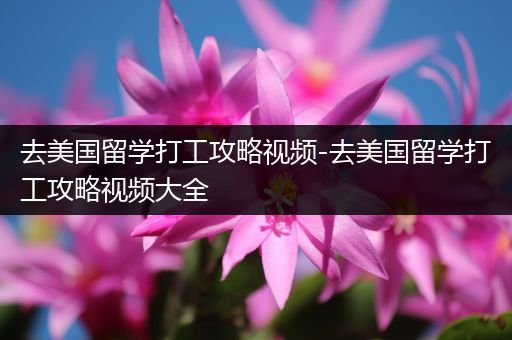去美国留学打工攻略视频-去美国留学打工攻略视频大全