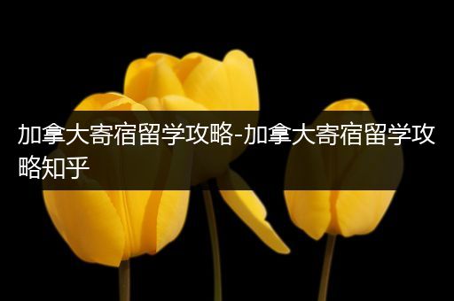加拿大寄宿留学攻略-加拿大寄宿留学攻略知乎